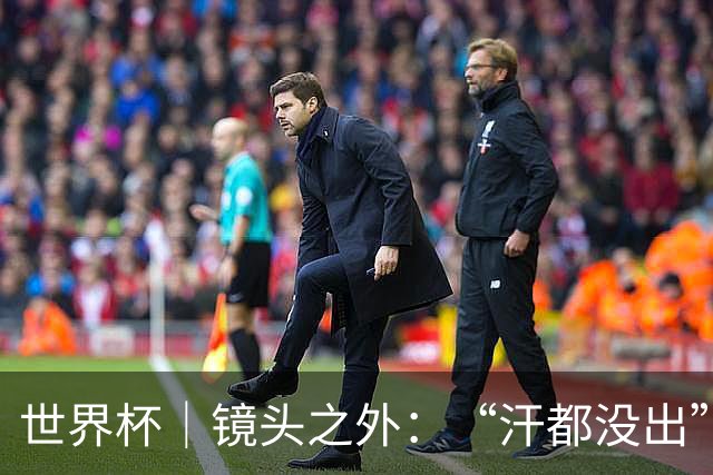 世界杯｜镜头之外：“汗都没出”的哈兰德，怎么就决定了比赛？